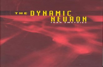 John Smithyes - The Dynamic Neuron