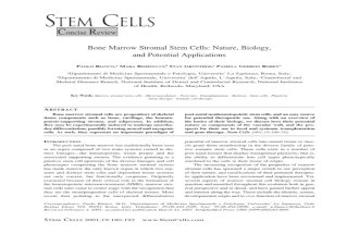 Stem_Cells.pdf