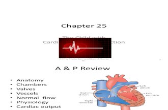 Chapter 25 Cardiac