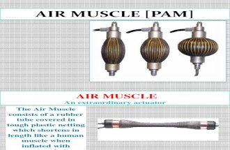 Air Muscle Presentation