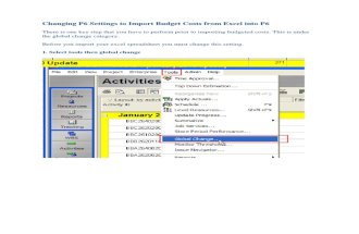 72000157 Changing P6 Settings to Import Budget Costs From Excel Into P6