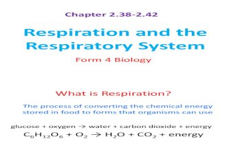2.38-2.42 Respiration and Respiratory System