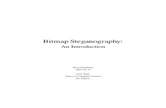 Bitmap Steganography: