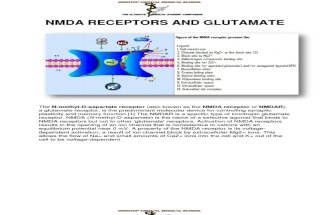 IVMS-NMDA Receptors, Glutamate, Glycine, Serine and Neurobiology