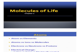 Molecules of Life ( Biology )