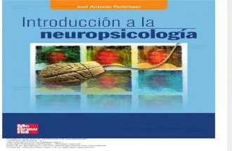 Introducci n a La Neuropsicologia