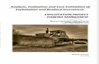 Study and Cost Estimates - Mn Dabeiba Exploitation - Final