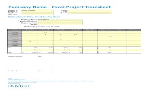 Project Management Template - Excel Project Timesheet