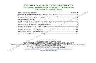 sustainability_essay