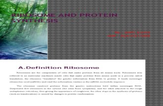 Pp Ribosome