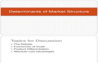 The Determinants of Market Structure - Copy