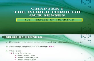 1.5 Sense of Hearing