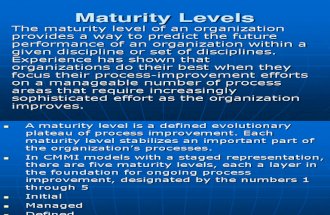Organization Maturity Levels