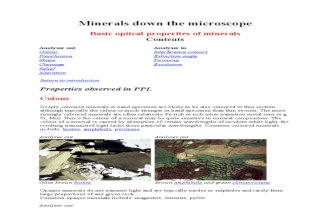 Minerals down the microscope.pdf
