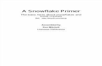 3_A Snowflake Primer