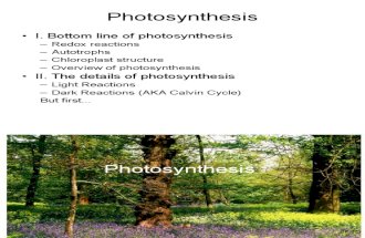 Photosynthesis Lecture F'12