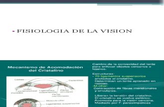 oftalmologia 2