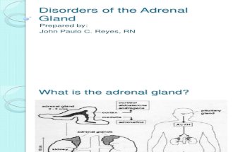 Disorders of the Adrenal Gland Lecture