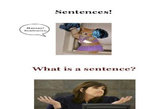 Sentences Review 101