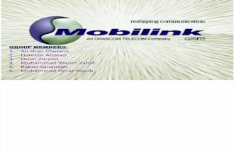 IHRM PROJECT MOBILINK