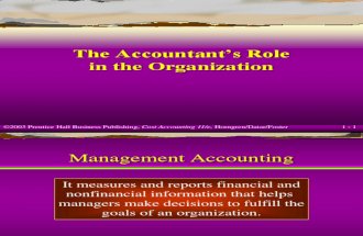 Accountants Role
