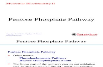 Pentose pathway