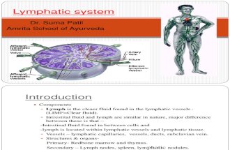Lymphatic System Suma Patil