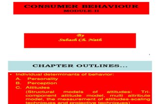 Consumer Behaviour Mod II