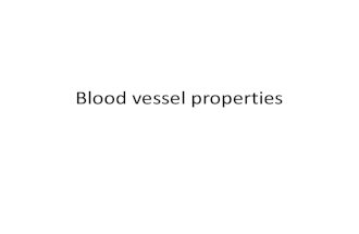 Blood Vessel Properties