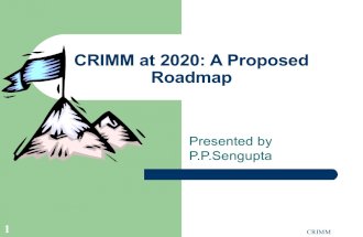 CRIMM at 2020 Rev1
