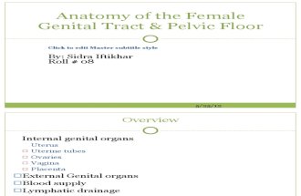 Anatomy of Female Genital Tract by Sidra Iftikhar