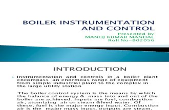 Boiler Instrumentation and Control Present Ti On