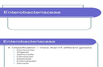 Lec 1 Enterobacteriaceae