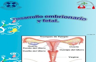 Desarrollo Embrionario y Fetal Final 1