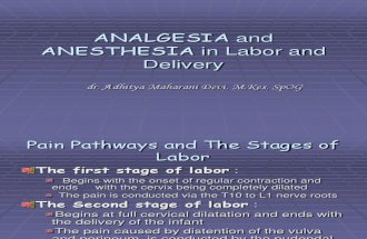 Analgesia and Anesthesia in Labor and Delivery