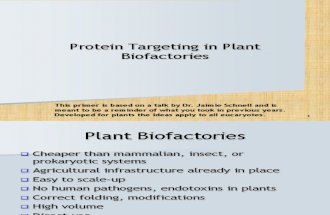 4 Primer on Protein Targeting
