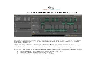 Quick Guide to Adobe Audition