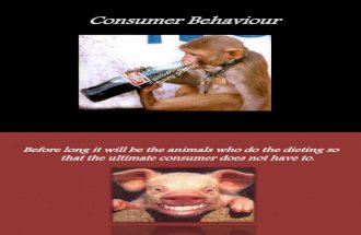 3.Consumer Behaviour