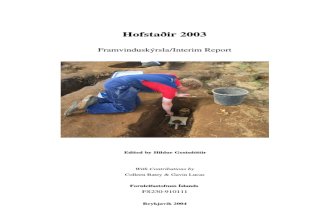Hst2003 Report