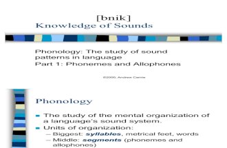 Knowledge of Sounds