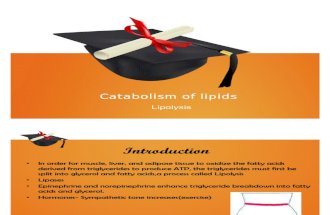 Catabolism of Lipids