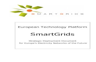 Smart Grids Sdd Final April2010