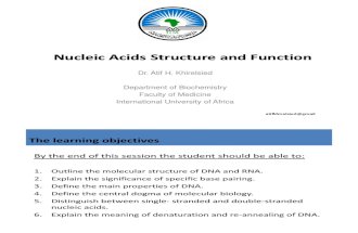Nucleic Acids 2012, International University of Africa