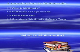 Mult 1- Introduction