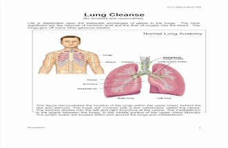 Lungs_Cleanse