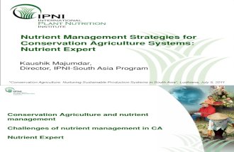 Nutrient Management Strategies for CA Ludhiana July 2011