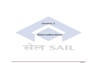 SAIL Finanacial Analysis Final Project