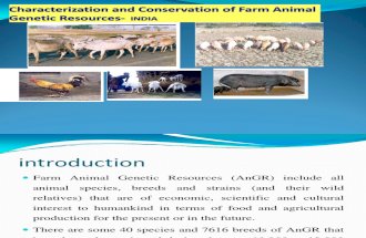 Ramu Conservation