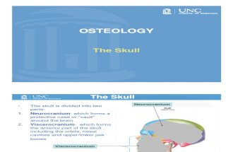 Final-Osteology Med-Jj [Compatibility Mode]