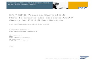 SAP GRC Process Control 2.5%3a How to Create and Execute ABAP Query for PC 2.5 Application